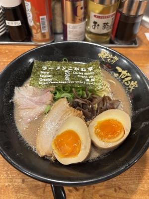 HIKARU(ﾋｶﾙ) 豚骨らーめん