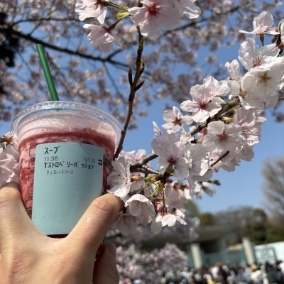 SOUP(ｽｰﾌﾟ) すた