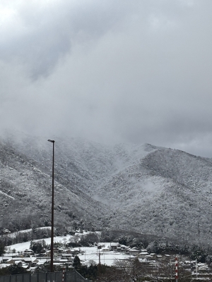 MAKI(マキ) マキの日常