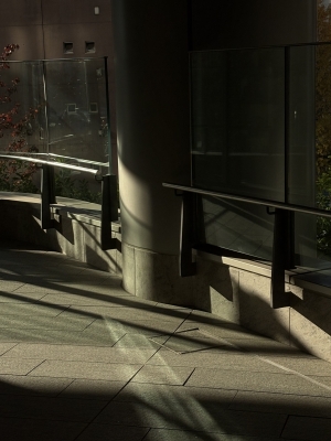 MASH(ﾏｯｼｭ) 自然光。