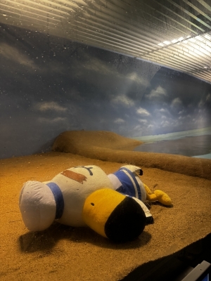 RATE(ﾗﾃ) おやすみなさい🌙*ﾟ