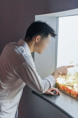 YOKKUN(ヨックン) スイッチ