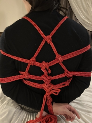 SUMERAGI(ｽﾒﾗｷﾞ) 後手縛り