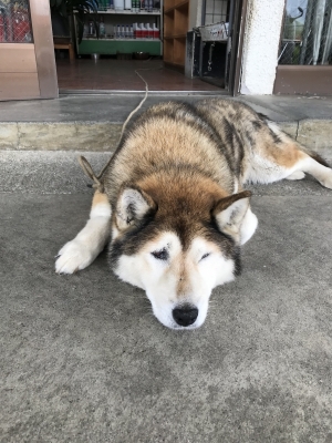 MOCHI（ﾓﾁ） 違和感をね。