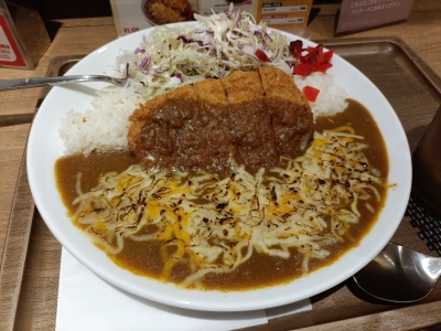 IEYASU(ｲｴﾔｽ) 【day9 どうする？いえやす日記】