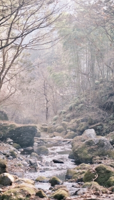 KOYOMI(ｺﾖﾐ) お風呂に浸かると