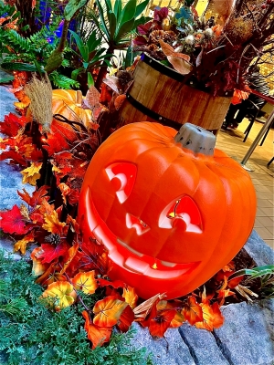 SHINA(ｼﾅ) ハロウィン①！！！