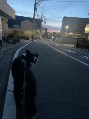 ATSUMU（ｱﾂﾑ） おはよ