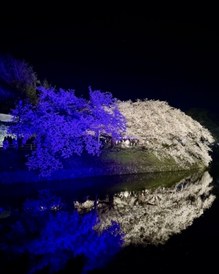 FNMIN（ﾌﾝﾐﾝ） 桜🌸