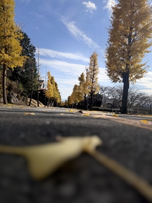 KAREN(カレン) 本音