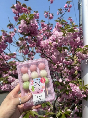 KONOSUKE(ｺｳﾉｽｹ) 花見