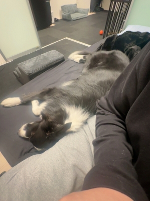 ATSUMU（ｱﾂﾑ） こわくない