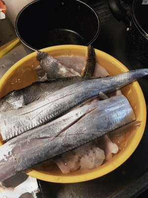 SHINGETSU(ｼﾝｹﾞﾂ) 【実は魚、捌けます🐟✨】