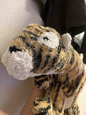 TOHKA(ﾄｳｶ) 出勤です🐯