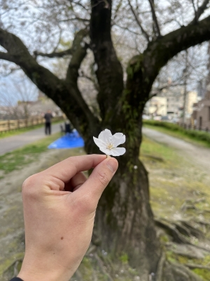 SATSUKI(サツキ) 体調は大丈夫？