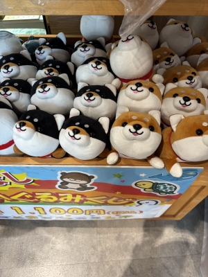 KAZUYA(ｶｽﾞﾔ) シバ軍団に囲まれた日