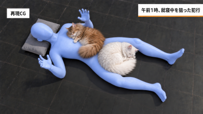 YUUSHI(ﾕｳｼ) 🐈‍⬛寝るときの定位置🐈