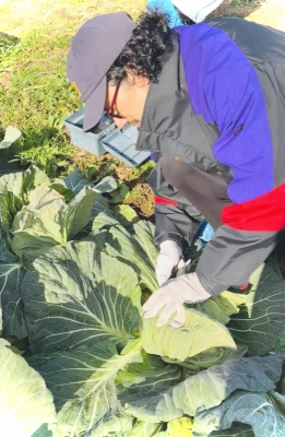 MOCHI(モチ) あけましておめでとうございます🙌だと!