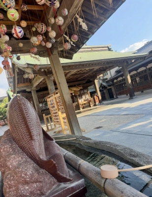 FNMIN（ﾌﾝﾐﾝ） 毎月のルーティン⛩️