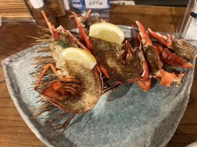 REO (ﾚｵ) ロブスター🦞