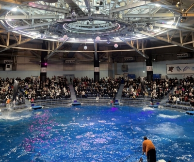 RAIJI(ﾗｲｼﾞ) 【水族館の豆知識】