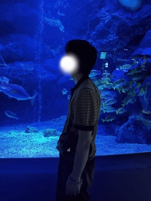 AYANO(ｱﾔﾉ) 🐟