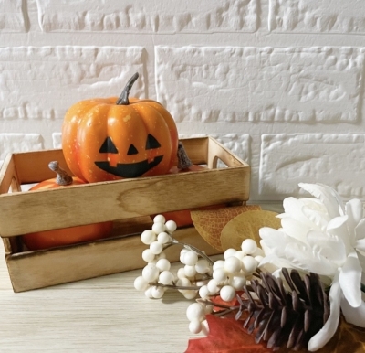 REN(ﾚﾝ) ハロウィンだからって...🎃