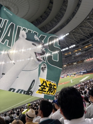 NEO(ﾈｵ) 高校野球と同時進行⚾️