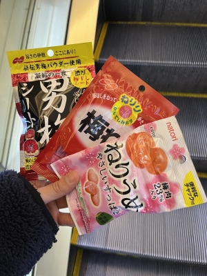 NINA(ニイナ) すき