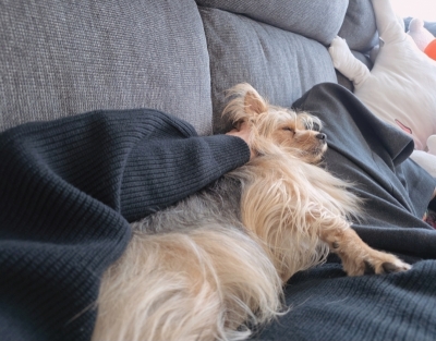 SEIICHIRO(ｾｲｲﾁﾛｳ) 一日の感じ方と受け取り方