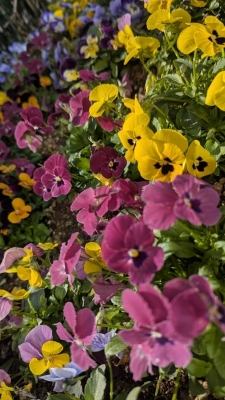 UTO(ｳﾄ) 由来♫