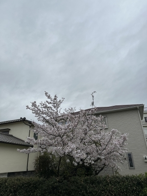 DAICHI(ﾀﾞｲﾁ) 3月ありがとうございました🙇‍♂️今年度もよろしくお願いします