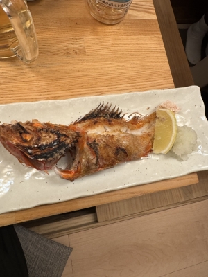 WAKA(ワカ) タンパク質補給!