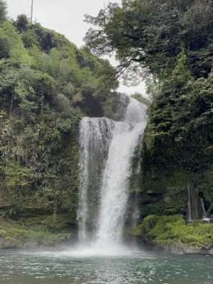 MASH(マッシュ) 慈恩の滝 in大分一人旅