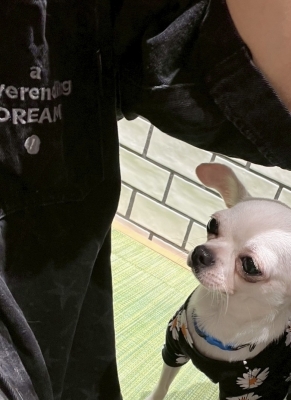 KENYU(ｹﾝﾕｳ) チラっ🐶