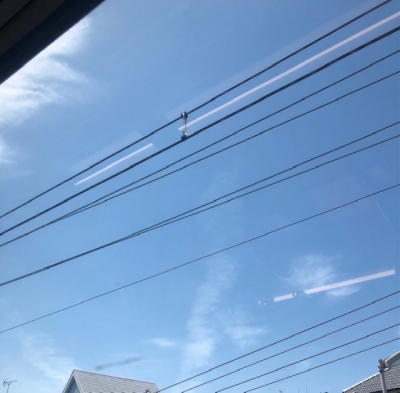 MAIRO（ﾏｲﾛ) 清々しい_(┐「ε:)_