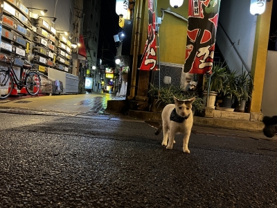 AOI (アオイ) 本日の空き状況