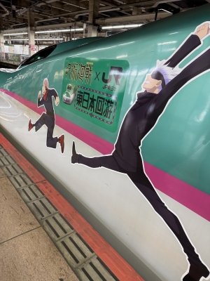 ARASHI(ｱﾗｼ) 【岩手から帰るよん】