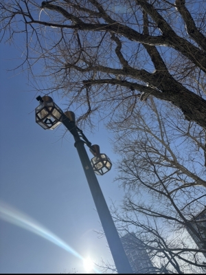 SUZU(スズ) 晴れたらいいね