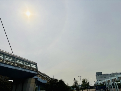 KIPPEI(キッペイ) 電車で爆睡かます