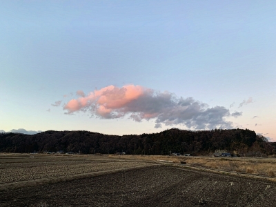 DANKU（ﾀﾞﾝｸ） 新年