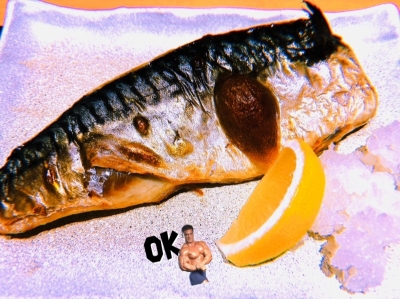 MOCHI（ﾓﾁ） ザバイバーモチ。