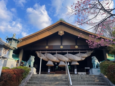 RINTAROU(ﾘﾝﾀﾛｳ) サクラ🌸