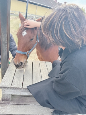 MINATO(ﾐﾅﾄ) 動物について