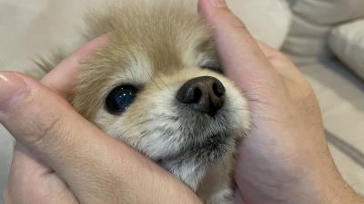 MIROKU(ﾐﾛｸ) きゅるきゅる