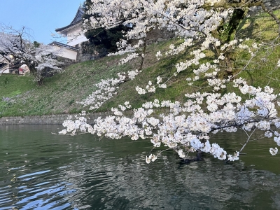 RYOTO(ﾘｮｳﾄ) #90 お花見日和