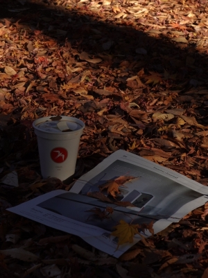 MASH(ﾏｯｼｭ) 代々木公園でたくさんカメラしてきた📷