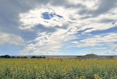 KENJI(ｹﾝｼﾞ) ひまわり園にて🌻