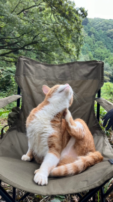 UTO(ウト) そこ、僕の、、、。🪑