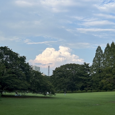 IHARU(ｲﾊﾙ) 日曜の青空、余裕を育てる